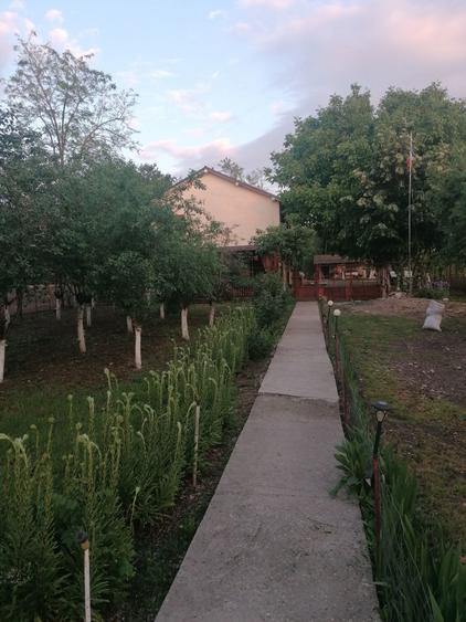 Casa cu 2 apartamente, intrari separate Malu Mare teren 2365 m2, a - 3