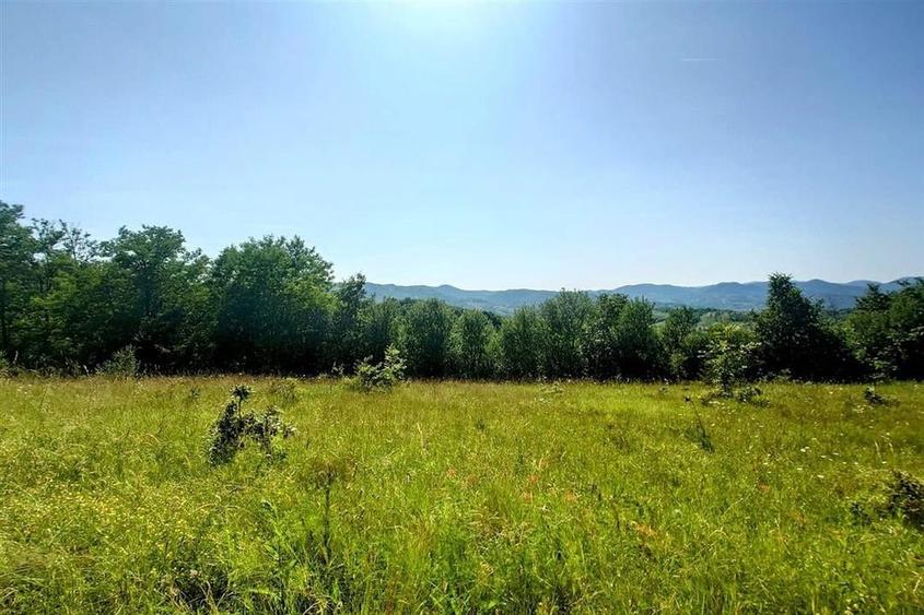 Teren intravilan de vanzare  in Luncoiu de Jos, sat Luncoiu de Sus, 3000 mp - 1