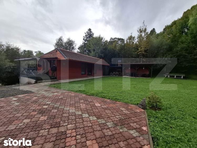 Colt de rai in Muntii Calimani cabana ideala pentru vacanta sau in - 3