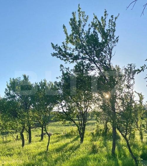 Casa  cu 10000mp de teren in Buza, la 50 km de Cluj-Napoca - 4