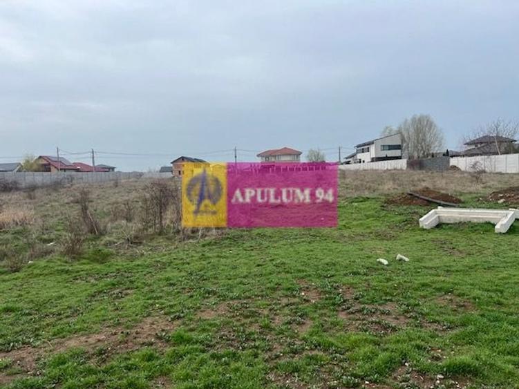 Teren Domnesti- Drumul Targului. - 4