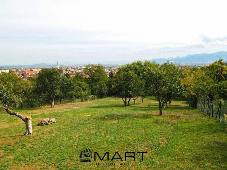 Teren Intravilan 924 mp Codlea 3 Parcele - 6