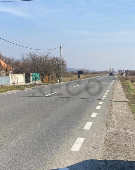 RECO Teren intravilan in Uileacul de Cris 3544mp - 4