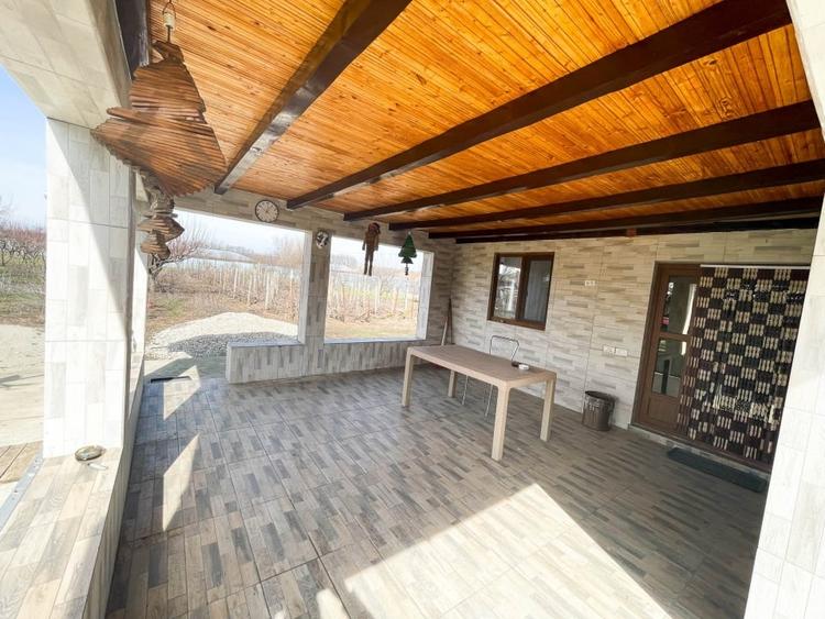 Mitreni-Valea Rosie-Acasa la Tara -4 camere-178 mp-LOT  1000 mp+Casa secundara - 5