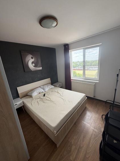 Apartament 2 camere Crangasi - 9