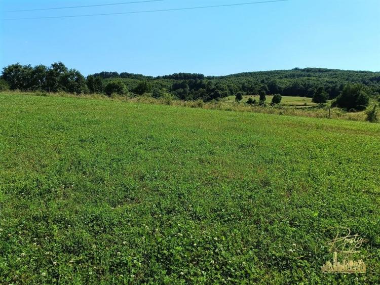 Teren extravilan 9093 mp de vanzare in Josani, com. Magesti - Bihor - 7