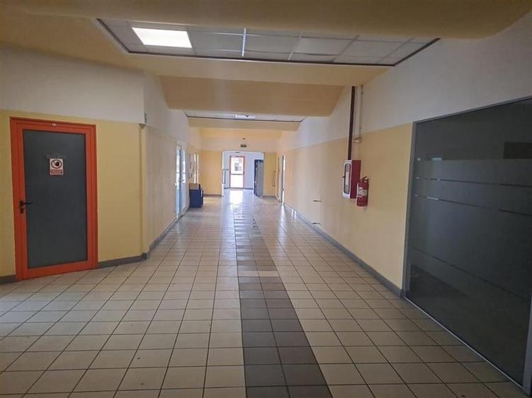 Hala pentru activitati industriale sau comerciale in Zona Industriala Arad Est - 5