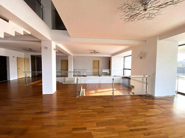 Oportunitate de afacere: spa?iu de inchiriat 650 mp in Arad - 5