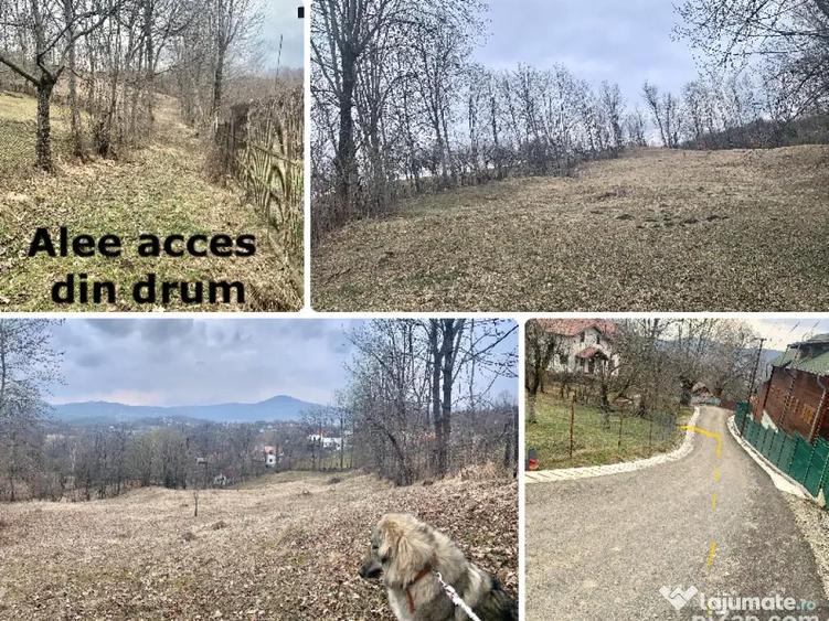 Teren intravilan com. Talea 3169mp - 2