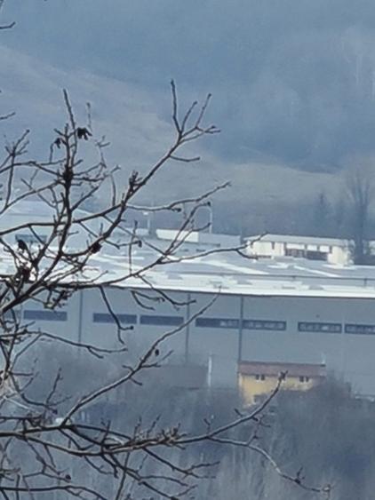 Teren Intravilan - 5