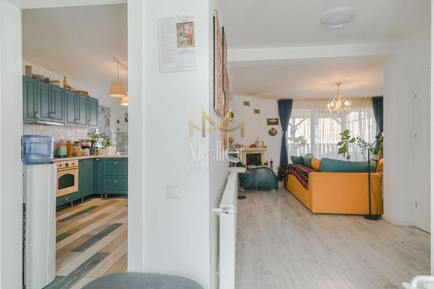 Duplex 386 mp teren 120 mp utili, 2 balcoane, 2 terase, Borhanciului - 19