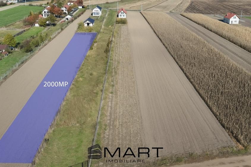 Teren 2000MP in Orlat la iesire catre Poplaca - 1