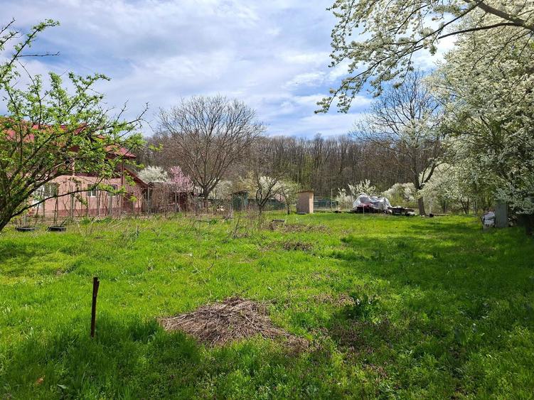 Teren intravilan premium de vanzare Snagov, Locatie exclusivista, fara riscuri - 1