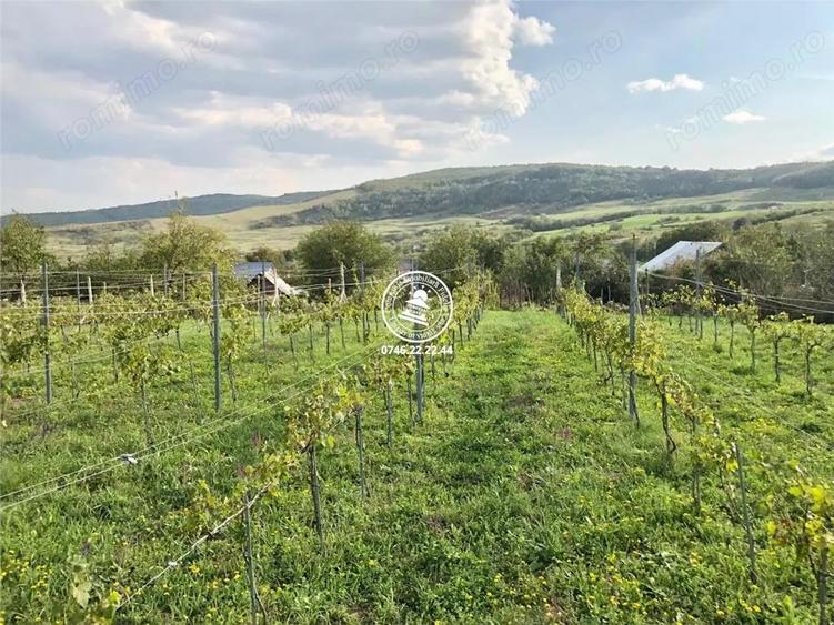 Teren pentru constructii case de vanzare Iasi, Mogosesti, - 7
