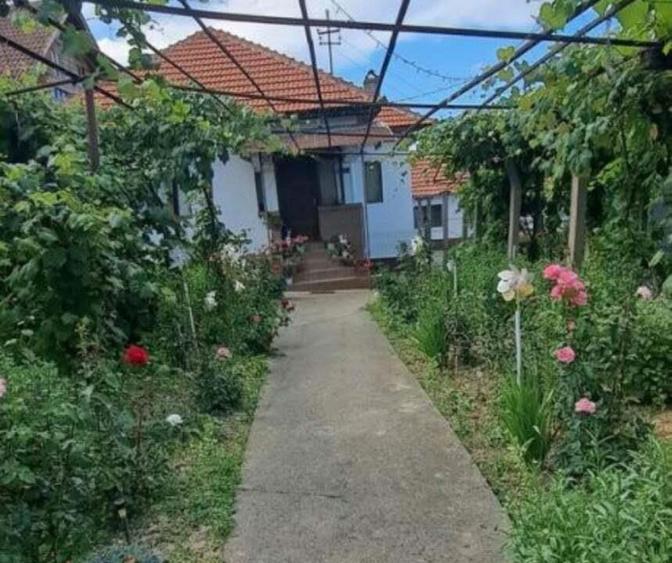 Gospodarie cu doua case ?i teren generos la ?ara ?omane?ti, Gorj - 7