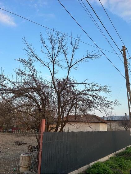 casa de vanzare giurgiu - 2