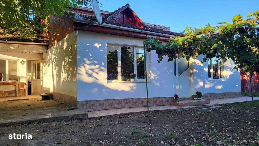Casa Pestisul Mare la pretul corect. - 12