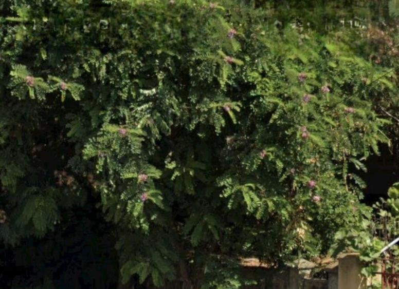 Teren centru Magurele - 1