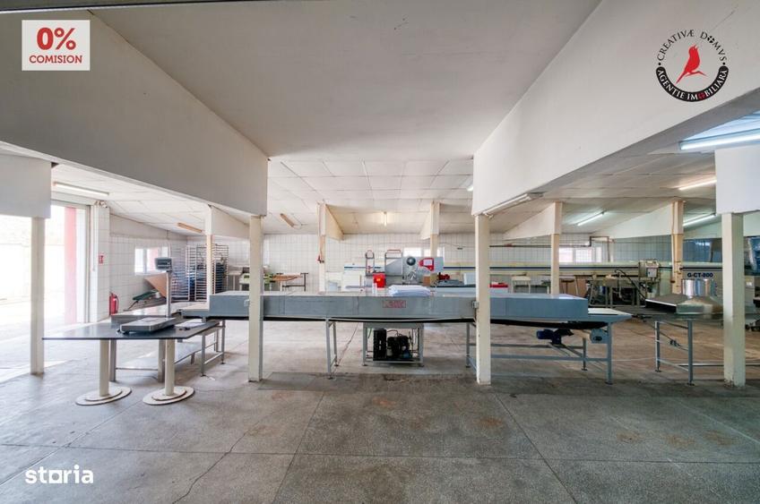 Vanzare fabrica de napolitane si dulciuri - jud. Giurgiu - 3
