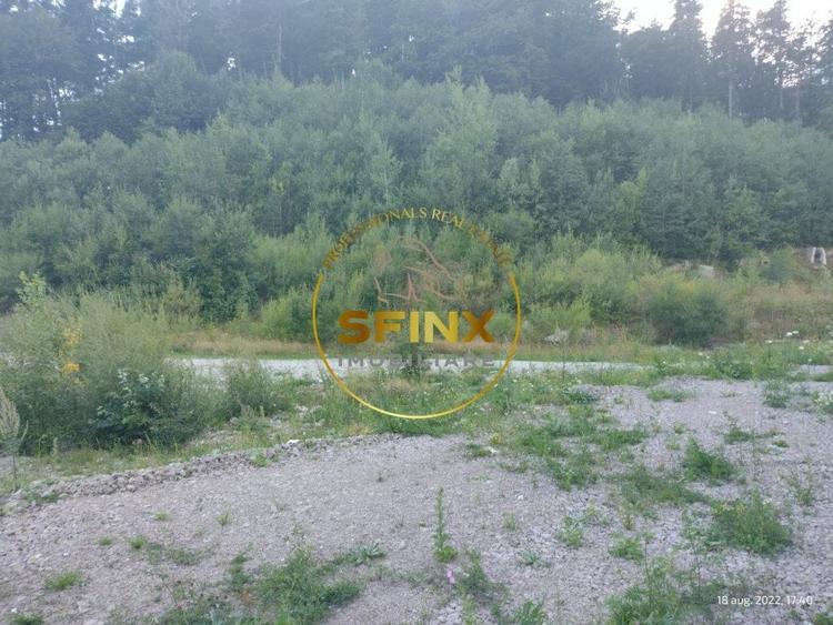 Teren intravilan 15.000 mp Busteni - 2