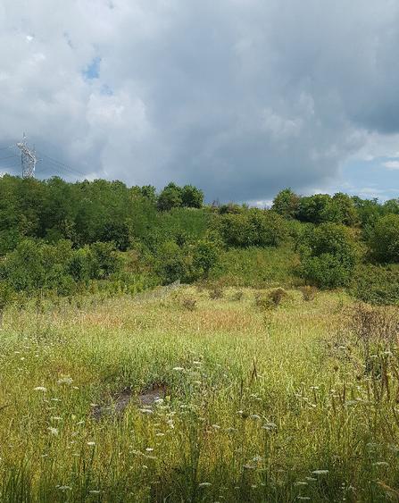 Parava, sat Dragusani, teren 4800mp, la asfalt - 1