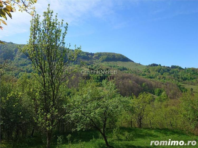 Teren intravilan si cladire in Apuseni, Blajeni, Hd