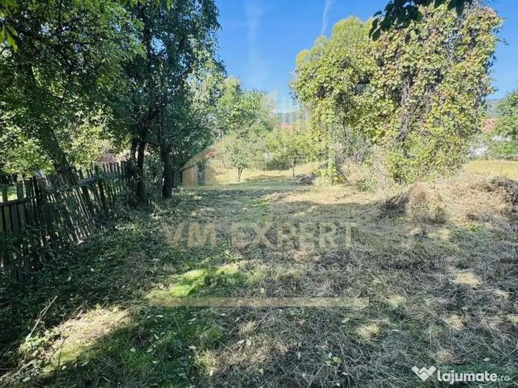 TEREN INTRAVILAN 3234 MP LERE?TI VOINE?TI ARGE? - 4