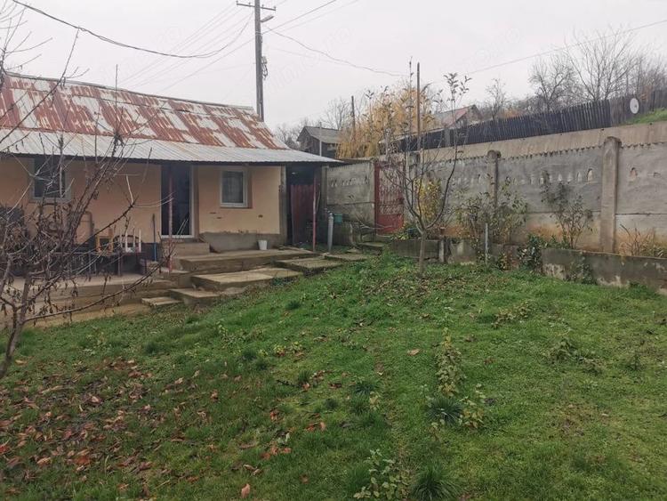 Casă cu 4 camere cu Teren 7000 Mp în Argetoaia