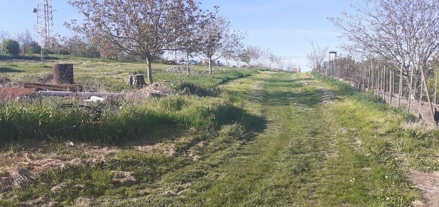 teren intravilan intabulat - 2