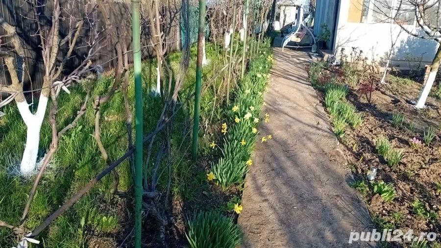 De vanzare casa cu 2000m patrati - 3