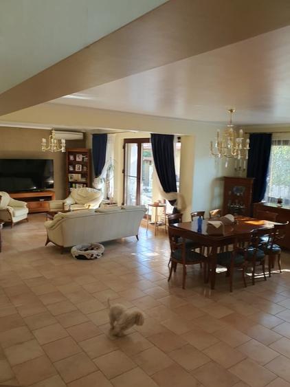 Mogosoaia- Ilfov - 3