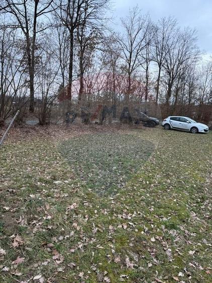 Teren intravilan cu priveliste de vanzare in Rus - 4