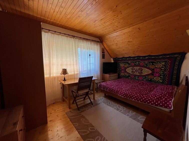 Vila la Busteni - 19