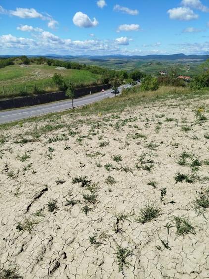 Vânzare teren intravilan – Comuna Dumitra - 2