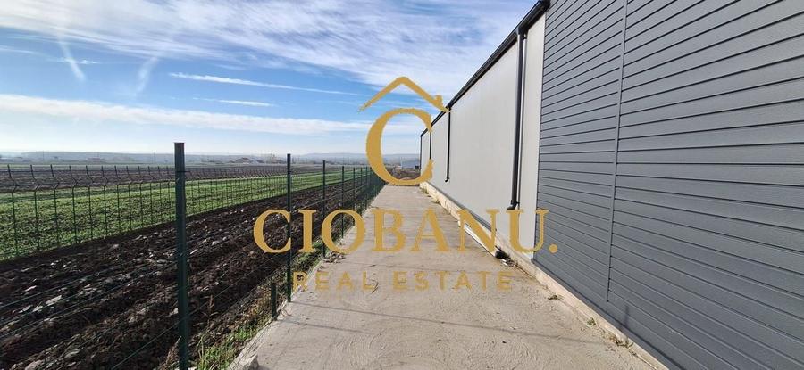 Hala de vanzare in Racari de Jos - 13