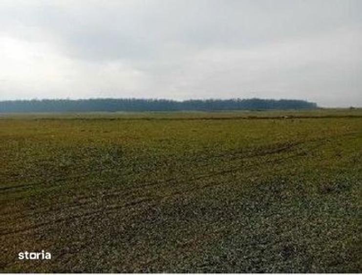 Teren extravilan 635 mp Harsesti, ID: R2922302 - 4