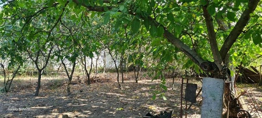 CASA PE COLT IN SIRIA CU TEREN MARE - 1