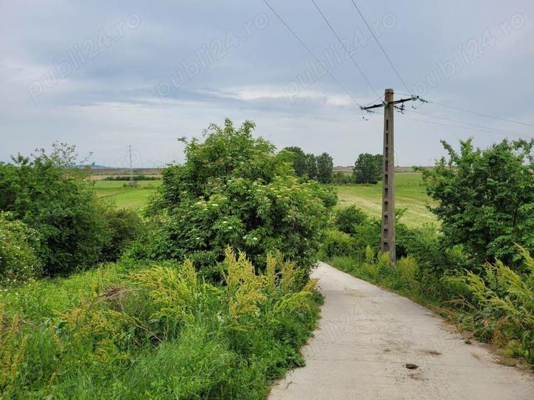 Casa in Calinesti Ph 4 camere teren 4997mp 50.000e - 7