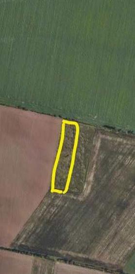 Teren Grigorescu - 2