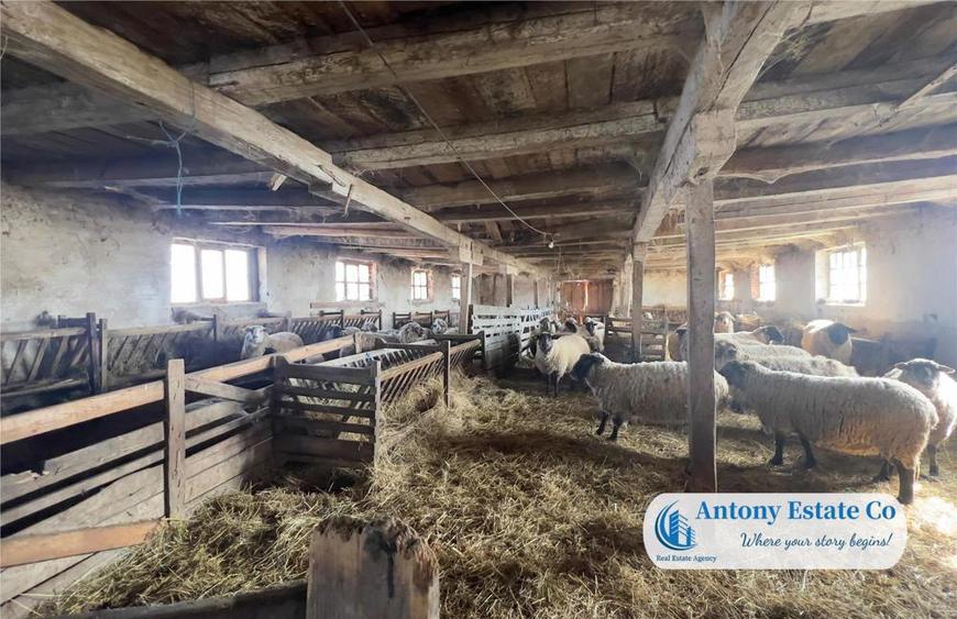 Antony Estate | Oportunitate de investitie, Ferma Padurea Galbena - Cehal, Marghita - 5