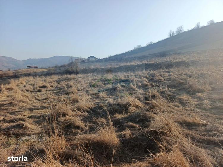 Teren extravilan 3000 mp de vanzare - 4