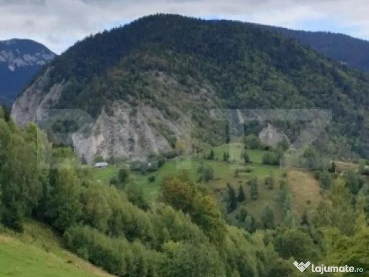 Teren 13.570 mp, Moieciu Pestera - 1