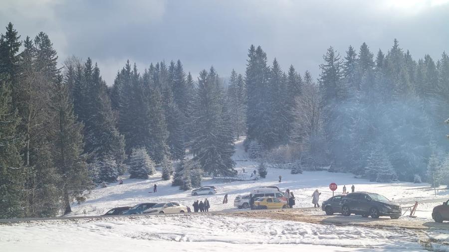 1,93ha de vanzare Poiana Brasov, de la proprietar - 4