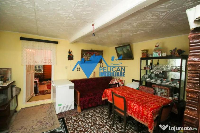 Casa cu teren in Salcioara (Jurilovca) - 2600mp - 10
