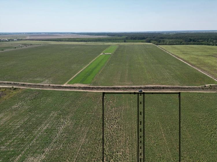 Teren intravilan langa padure Corbeanca Park - 5