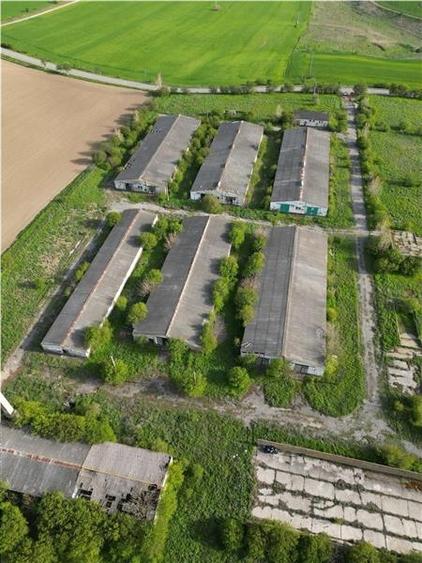 Ferma de vanzare in localitatea Bestepe - 7