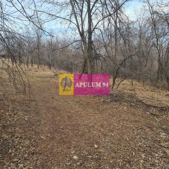 Teren intravilan de vanzare in Cornu de Jos - 8