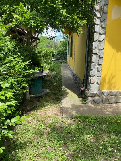 Casa 8 Camere Snagov (INCHIRIERE 2500 EURO) - 5