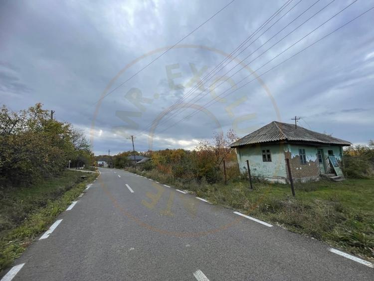 Teren intravilan 6975 mp front stradal 47.70 m in Mosoaia Arges si padure bonus - 8