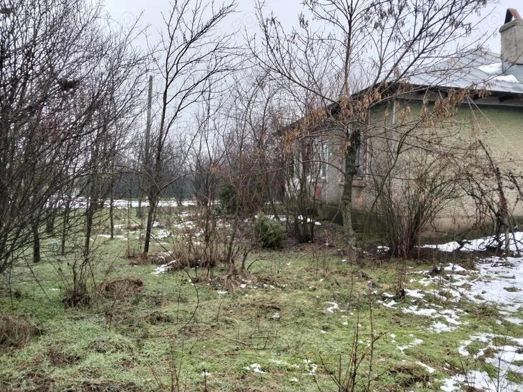 Casa+teren de vanzare - 2